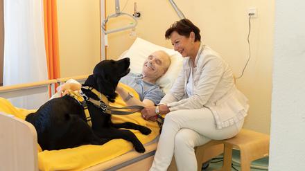 Der Hundebesuchsdienst im Diakonie Hospiz Wannsee sorgt bei den Gästen für Freude.