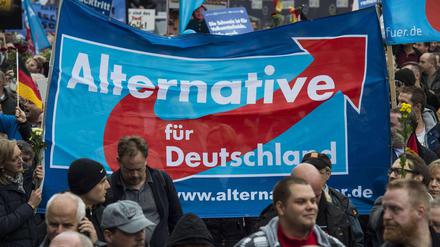 AfD-Anhänger bei einer Demonstration im November in Berlin