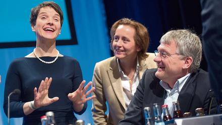 Die AfD-Vorsitzende Frauke Petry (links) mit ihrer Stellvertreterin Beatrix von Storch und Co-Chef Jörg Meuthen in Stuttgart.
