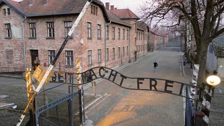 Wie soll die industrielle Ermordung von Juden in Auschwitz gestoppt werden? Vor dieser Frage standen die Alliierten 1944, nachdem sie durch zwei geflüchtete Lagerinsassen über die Vorgänge im Konzentrationslager erfuhren. 