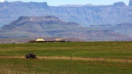 Die Mechanisierung der Landwirtschaft ist bisher überwiegend in Südafrika angekommen. Doch der Landmaschinenhersteller Agco sieht auf dem ganzen Kontinent großes Potenzial für den Einsatz von an die kleinräumige Landwirtschaft angepasste Strukturen. 