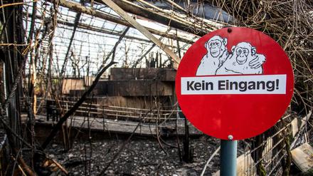 Das abgebrannte Affenhaus im Krefelder Zoo