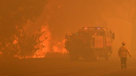 Feuerwehrleute kämpfen gegen die starken Waldbrände in Australien. Großspenden erhielten sie nun von Pop- und Filmstars. 