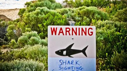 Schwimmen an vielen Stränden in Australien kann gefährlich sein. 