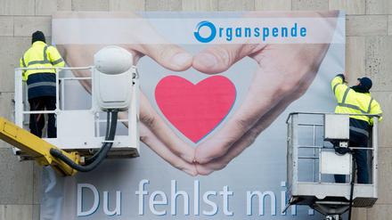 Zwei Arbeiter montieren in Hannover ein Plakat zum Thema Organspende. 