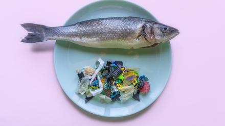 Ein Fisch mit Plastikmüll auf einem Teller (Symbolbild).