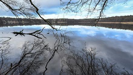Die Äste der am Ufer wachsenden Bäume spiegeln sich im Wasser des Summter Sees. Der Natursee nahe dem Berliner Stadtrand ist etwa 300.000 Quadratmeter groß und maximal 1,80 Meter tief.