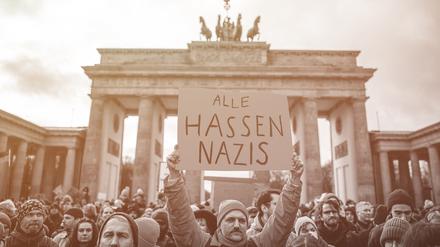 So ging es los in Berlin: Am 14. Januar kamen 25.000 Menschen vor das Brandenburger Tor. 