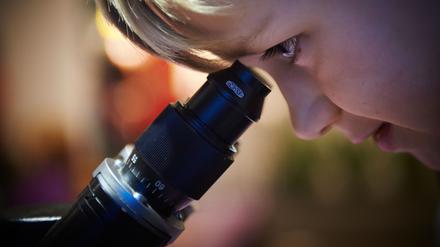 Portrait of Child Boy looking through microscope in school laboratory