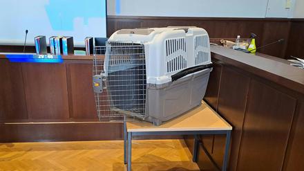 Die Hundebox steht während des Prozess im Verhandlungssaal vom Landesgericht Krems.