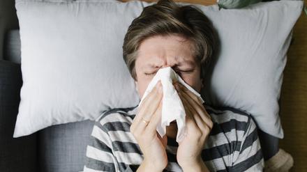 Neben dem Coronavirus gibt es für diese Zeit ungewöhnlich viele Rhinovirusinfektionen (Erkältungen) sowie zunehmend RSV- und Grippefälle.