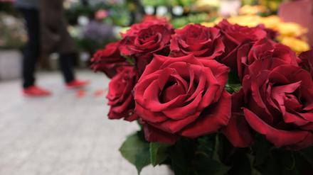 Tiefrote Rosen sind der Klassiker am Valentinstag: Wer sie verschenkt, möchte zum Ausdruck bringen, dass man bereit für eine feste Bindung ist.