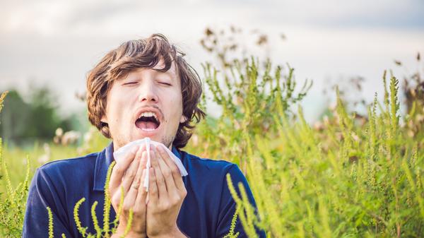 Hatschi! Wenn die Pollen fliegen, kann ein Ausflug ins Grüne für Allergiker anstrengend werden.