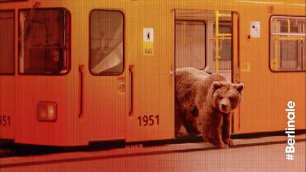 Der Bär ist los. Das Berlinale-Plakat 2016.