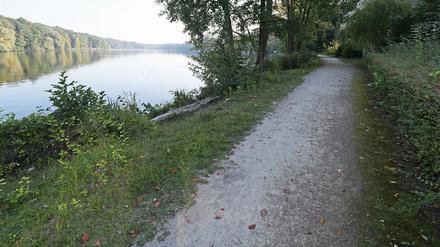 Uferweg am Griebnitzsee.