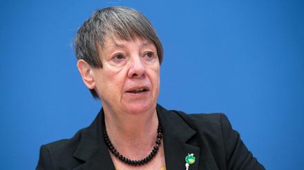 Bundesumweltministerin Barbara Hendricks (SPD) 