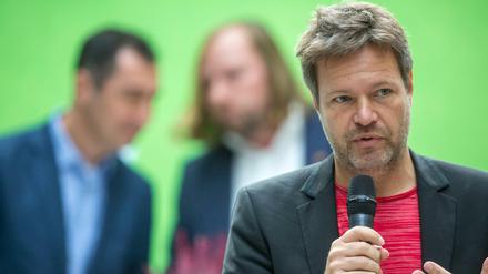 Robert Habeck will die Grünen in den Bundestagswahlkampf führen