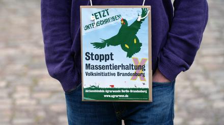 Über 103.000 Brandenburger unterstützten das Volksbegehren gegen Massentierhaltung.
