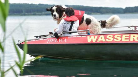 Hundeführerin Nicole Adam vom Deutschen Roten Kreuz trainiert mit ihrem ihrem Wasserortungshund Otis auf dem Helenesees nahe Frankfurt (Oder).