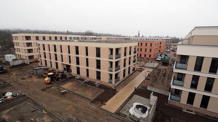 Auf dem ehemaligen Tramdepot an der Heinrich-Mann-Allee stehen 341 Wohnungen des kommunalen Immobilienunternehmens Pro Potsdam kurz vor der Fertigstellung.