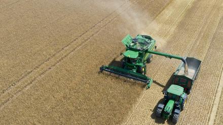 Erntezeit: Deutschland bekommt jährlich 6,35 Milliarden Euro aus dem EU-Agrarfördertopf. 