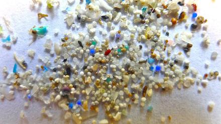 Müllpartikel. Das Foto zeigt Mikroplastikkügelchen mit einer Größe von unter 5 Millimetern. Diese Partikel werden oft von Fischen und anderen Meeresbewohnern aufgenommen. 