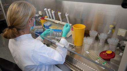 In einem Labor werden Proben auf das Coronavirus untersucht.