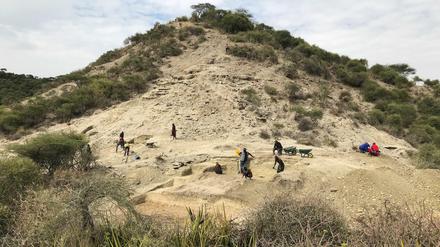Forscher graben im Norden Tansanias Steinwerkzeuge und Fossilien aus.
